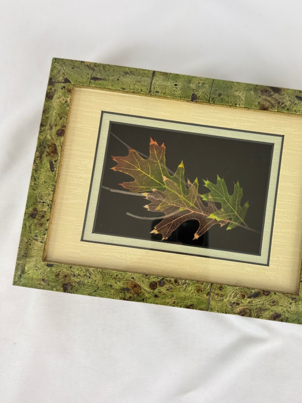 Booker Morey Framed Leaves Scarlet Oak 2372 Shadow Box Horizonal or Vertical